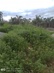 Image 1 Title