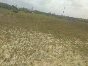 7 Hectre Of Land 7poles Away From The Lekki Epe Express Way, Very Dry Upland,  700 Meter Square of Land for Sale Ibeju Lekki Lagos Vetra  Property