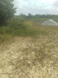 Image 1 Title