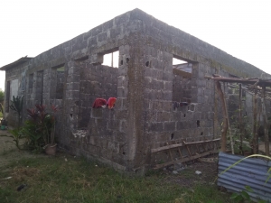 Image 1 Title