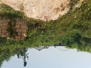 Image 1 Title