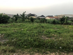 A Plot Of Land For Sale At Akala Express 1 Plot of Land for Sale Ibadan Oyo Vetra  Property