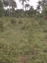 Well Located 13acres Of Land On The Expressway 13 Acres of Land for Sale Afijio Oyo Vetra  Property