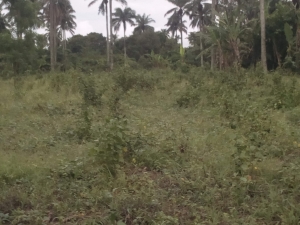 Image 1 Title