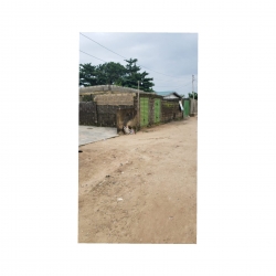 Image 1 Title
