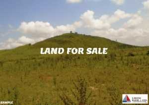 A Plot Of Land Measuring Approximately 2,963 Square Metres Located At Mabushi District. Title: C Of O. 2,963 Meter Square of Land for Sale Apo Abuja Vetra  Property