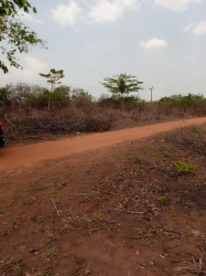 Land For Sale Land for Sale Ewekoro Ogun Vetra  Property