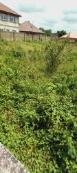 Image 1 Title