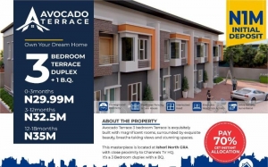 Newly Built 3 Bedroom Terrace Duplex Plus 1 Boys Quarter Flat for Sale Ogba Lagos Vetra  Property