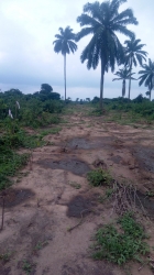 Pandemic Promo Sales: Homelight Palm Gardens Estate Uyo Land for Sale Uyo Akwa Ibom Vetra  Property