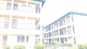 Image 1 Title