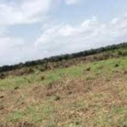 Dry Estate Land At Ibeju Lekki Land for Sale Ibeju Lekki Lagos Vetra  Property
