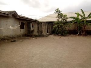 Image 1 Title