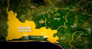 Image 1 Title