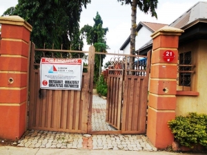 3 Units 5 Bedroom Detached Duplex For Sale 5 bedroom House for Sale Asokoro Abuja Vetra  Property