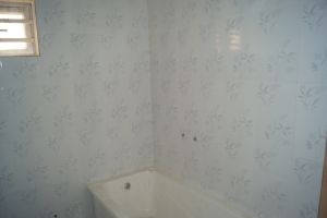 Image 1 Title