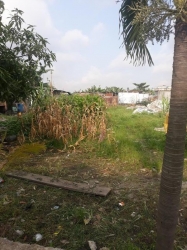 Image 1 Title