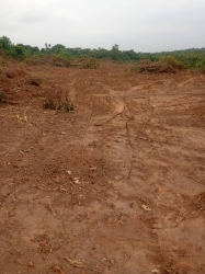 Plots Of Land  Land for Sale Ibeju Lekki Lagos Vetra  Property