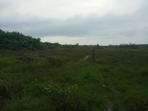 Image 1 Title