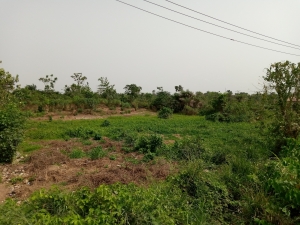 1.5 Acres Of Land In Prime Location 2 Acres of Land for Sale Ikorodu Lagos Vetra  Property