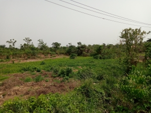 Image 1 Title