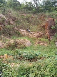 Acres Of Land Available Land for Sale Arepo Ogun Vetra  Property