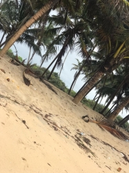 Haven Beach 600 Meter Square of Land for Sale Ibeju Lekki Lagos Vetra  Property
