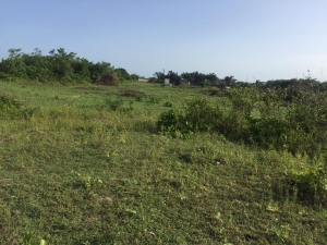 Image 1 Title