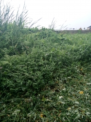 A Plot Of Land  1 Plot of Land for Sale Ikeja Lagos Vetra  Property