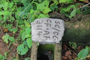 Image 1 Title
