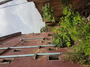 Image 1 Title