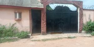 Image 1 Title