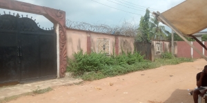 Image 1 Title