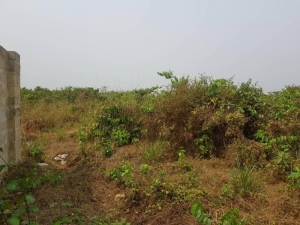 Land Land for Sale Uyo Akwa Ibom Vetra  Property