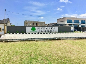 Image 1 Title