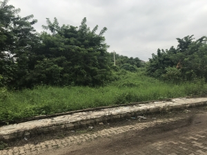 Image 1 Title