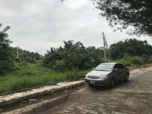 Image 1 Title