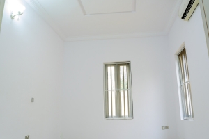 Image 1 Title