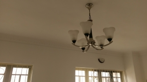 Image 1 Title