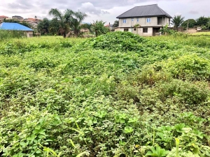 Full Or Half Plot Of Land For Sale At Obawole Ogba  Land for Sale Iju Lagos Vetra  Property