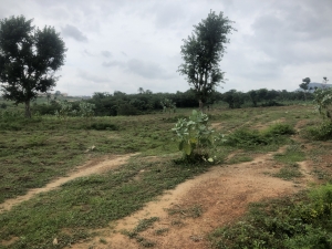 Image 1 Title