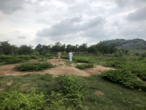 Image 1 Title