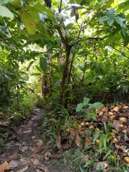 Image 1 Title