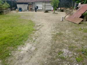 Image 1 Title