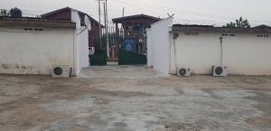 Image 1 Title