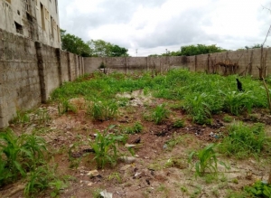 Land For Sale At Eziobodo, Futo 1 Plot of Land for Sale Owerri Imo Vetra  Property