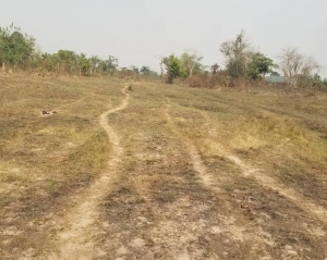 Maximum Plot Of Land For Sale 648 Meter Square of Land for Sale Ifo Ogun Vetra  Property