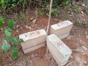 Maximum Plot Of Land For Sale 600 Meter Square of Land for Sale Ibeju Lekki Lagos Vetra  Property