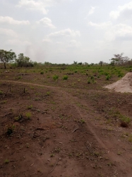 Maximum Plot Of Land For Sale 648 Meter Square of Land for Sale Ewekoro Ogun Vetra  Property