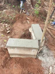 Image 1 Title